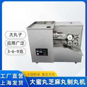 WZ-12不锈钢制丸机家用商用