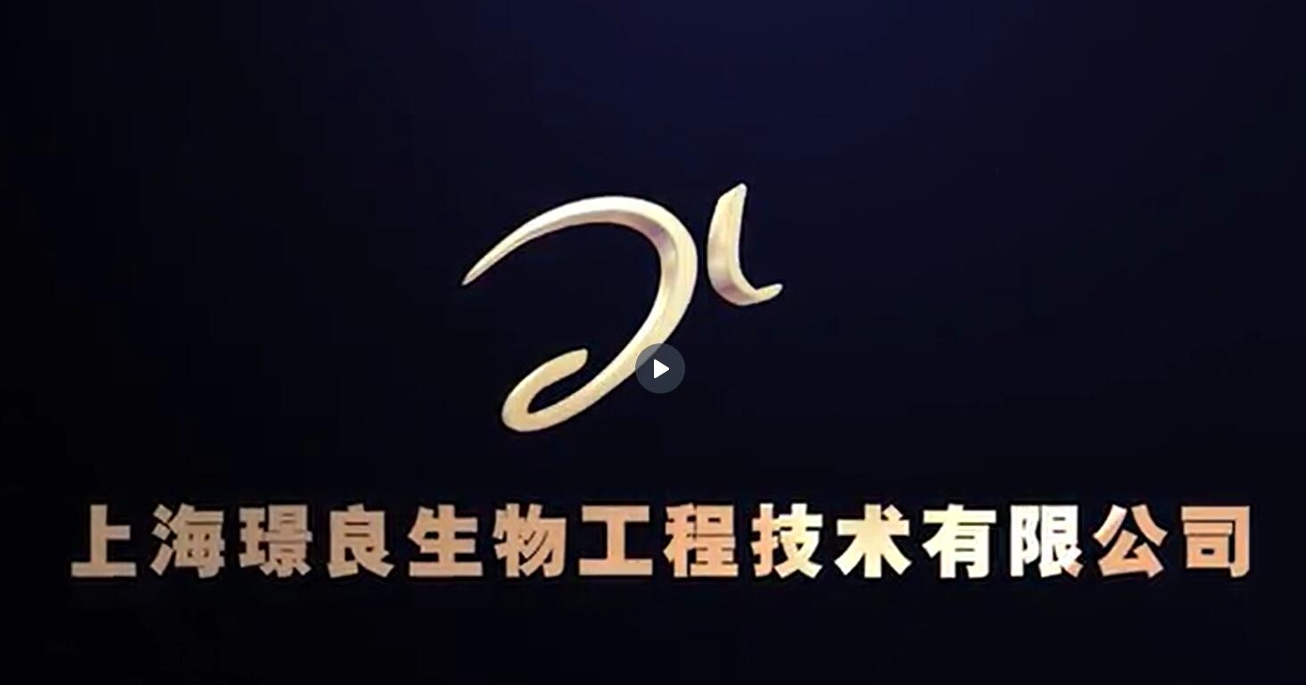上海璟良-上磁力攪拌器