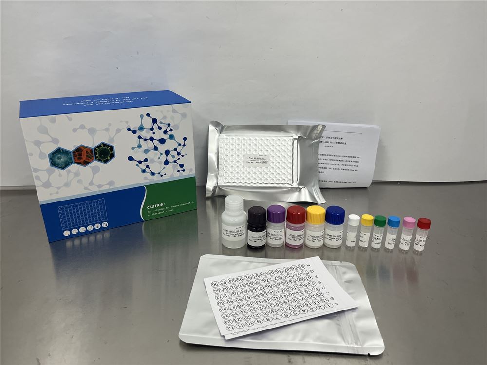 Elisa：加顯A顯B