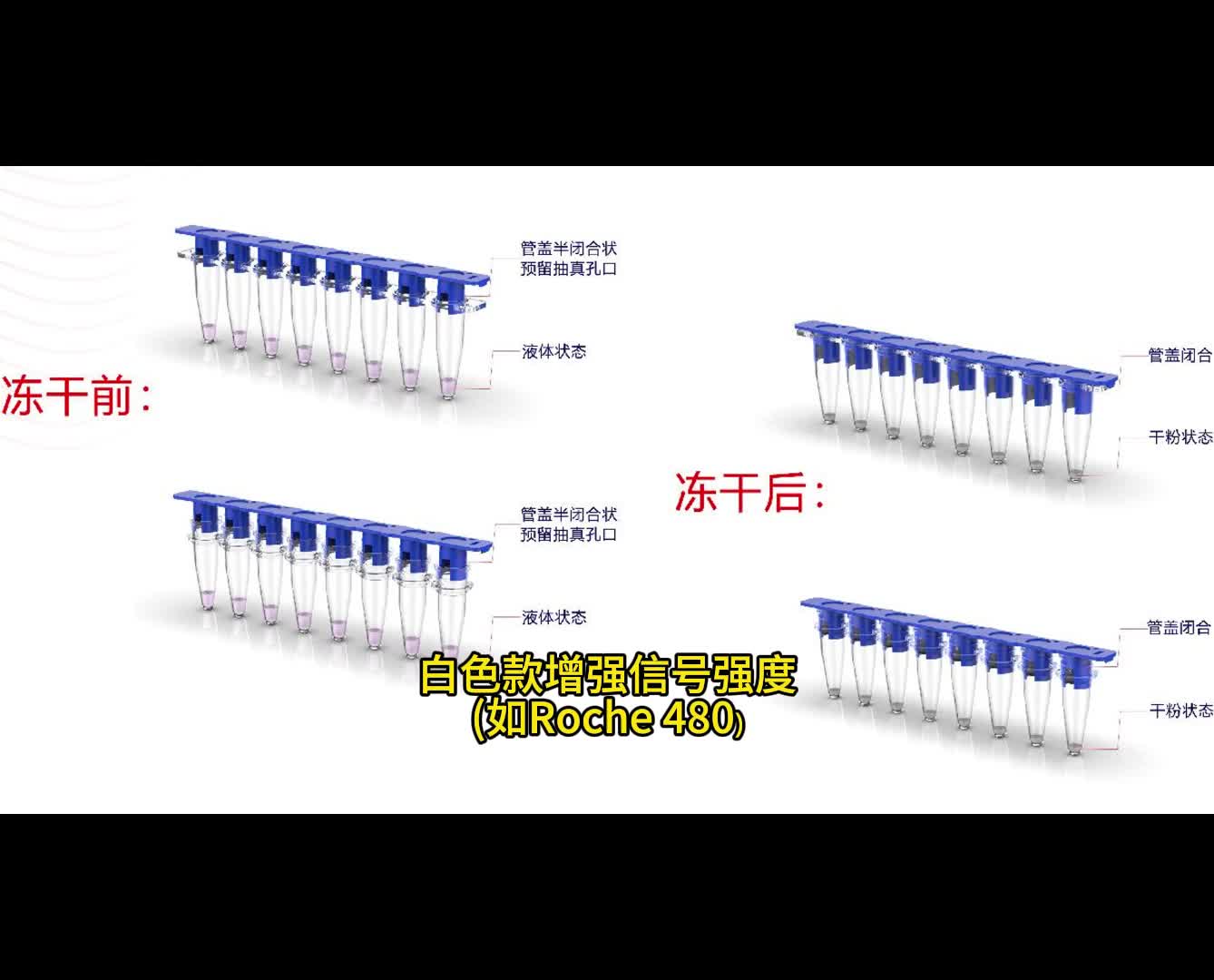 PCR凍干管的使用
