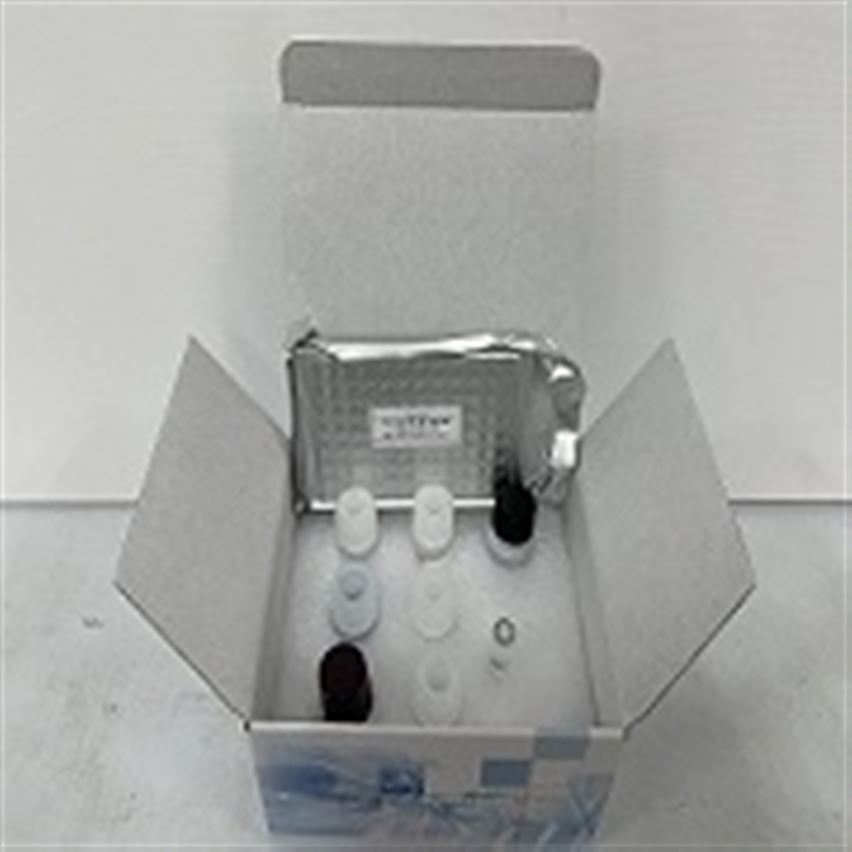 Elisa實(shí)驗(yàn)：Elisa曲線問題