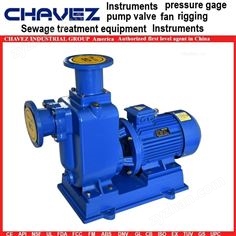 美國(guó)CHAVEZ查韋斯 進(jìn)口液下無(wú)堵排污泵