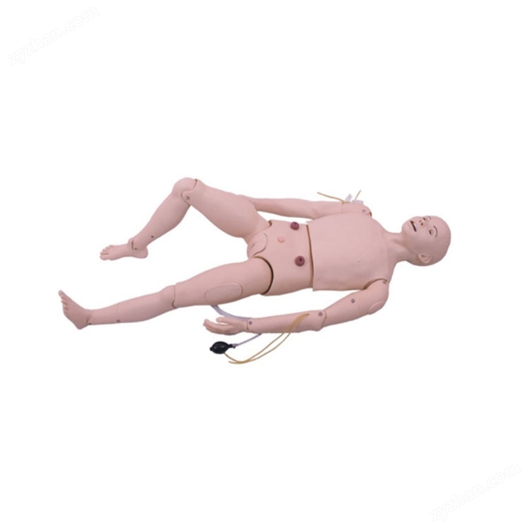 艾米立 三腔兩囊管操作訓(xùn)練模型