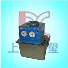 不銹鋼雙表雙抽循環(huán)水真空泵