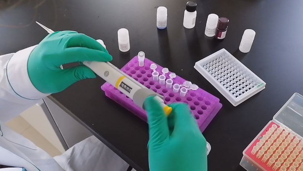 Elisa試劑盒 本生