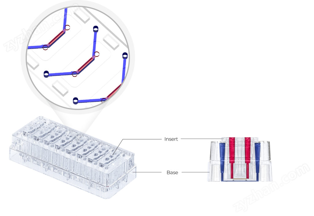点成生物MEPS-TBC-CH 2D器官芯片