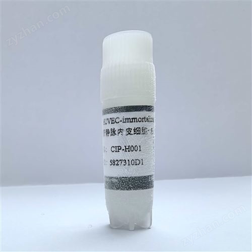 ��Ě�o�}��(n��i)Ƥ��(x��)��-������