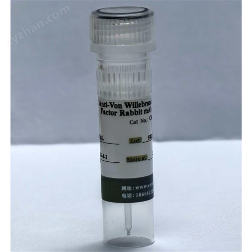 Anti-Von Willebrand Factor Rabbit mAb