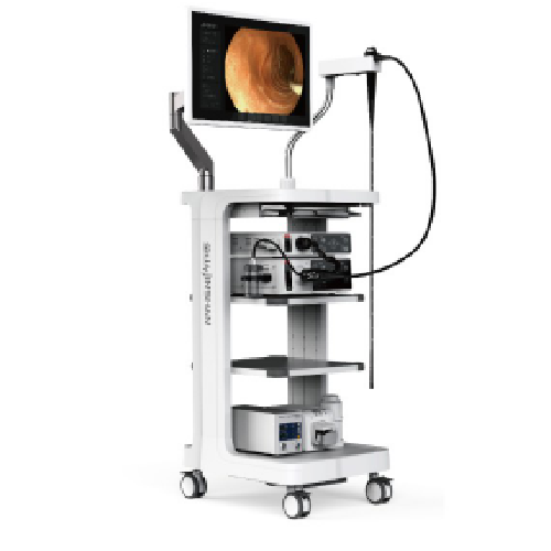 單氣囊電子小腸內窺鏡系統直銷價